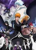 https://ae1.cloud-images.com/movie/bleach-movie-2-the-diamond-dust-rebellion-sub-2007/thumb.png