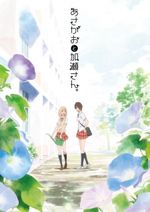 Kimi no Hikari: Asagao to Kase-san.