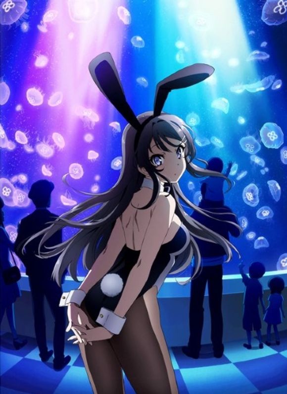 Seishun Buta Yarou wa Bunny Girl Senpai no Yume wo Minai