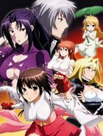 Sekirei: Pure Engagement